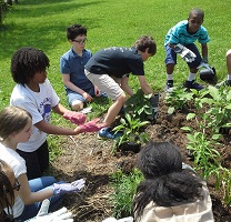 Center School kids planting and learning about native plants